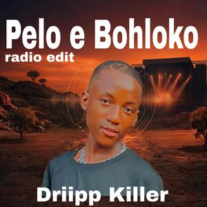 Pelo e Bohloko (Radio Edit)