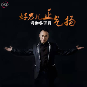 好男儿正气扬