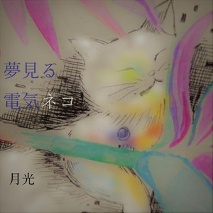 水玉模様のカエル