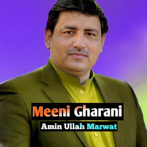 Meeni Gharani