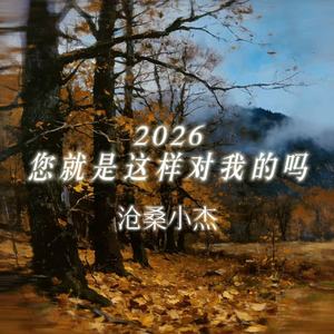 2026您就是这样对我的吗