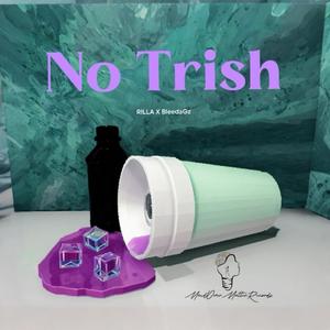 No Trish (feat. BleedaGz)