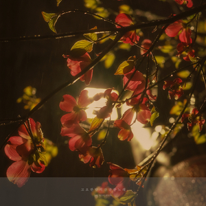 5월의 마지막 밤에