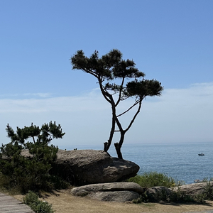 奋斗