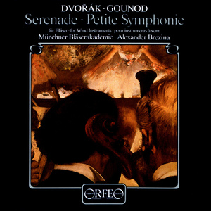 Serenade in D Minor, Op. 44, B. 77:III. Romance