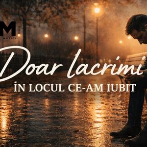 Doar lacrimi în locul ce-am iubit