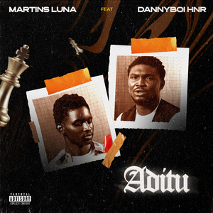 Aditu