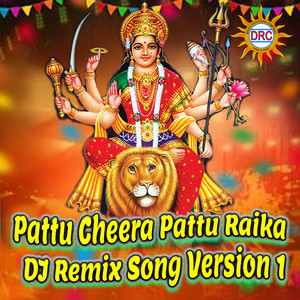 Pattu Cheera Pattu Raika (DJ Remix Song Version 1)