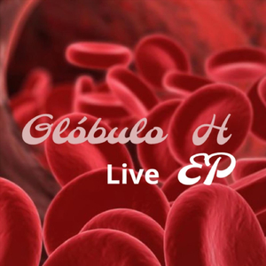 Un Ideal Sin Rumbo Fijo (En Vivo)