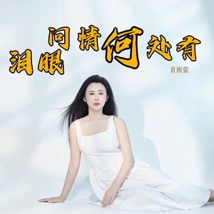 泪眼问情何处有-演唱