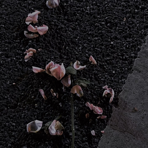 诅咒（prod.by Morrow x FAS）