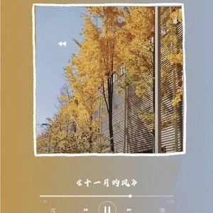 十一月的风