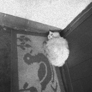 untitled（prod.rx808)