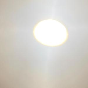 Tn (rare zleepy take)