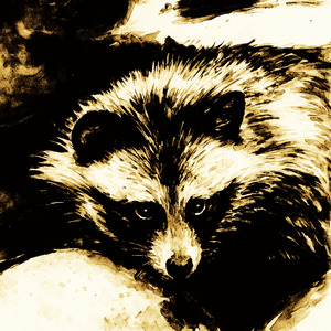 どろだぬき ～ Dear M. ～