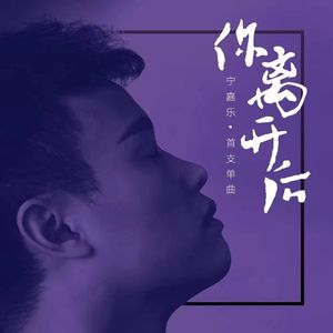 你离开后 (DJ京仔版)