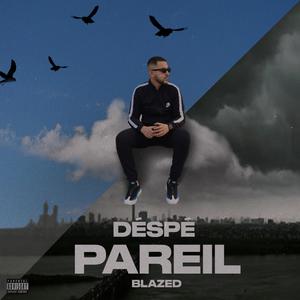 Pareil