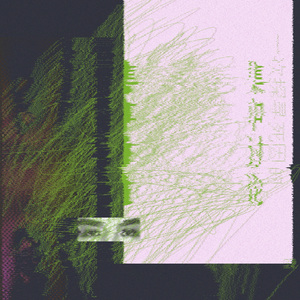 一次探寻死因的集中讨论