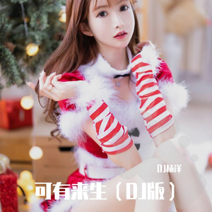 可有来生（DJ版）