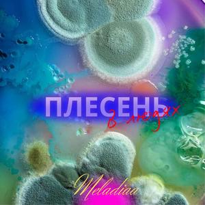 Плесень