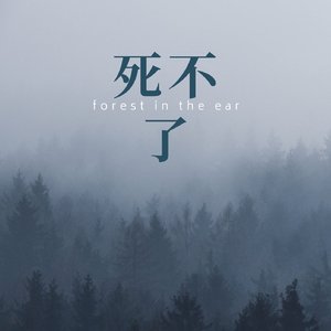 任贤齐-死不了(练习版)（伯瑜 remix）