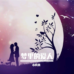 梦里的爱人 伴奏
