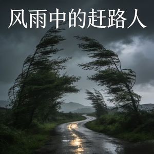 风雨中的赶路人