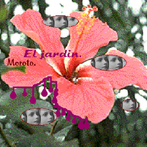 El jardín.