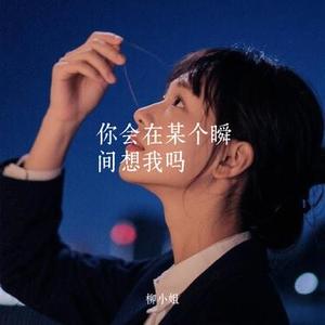 你会在某个瞬间想我吗 (Cover 李认针)