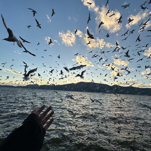地铁里空荡的心
