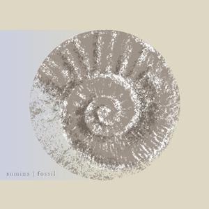 fossil feat. 挂挂
