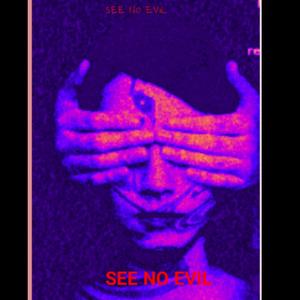 SEE NO EVIL SEE NO EVIL
