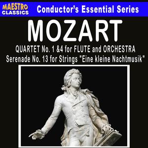 Flute Quartet No. 1 in D Major, K. 285: II. Adagio