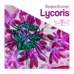 Lycoris (DJ GrujA Broken Remix)