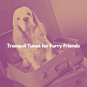 Superlative Music for Vision