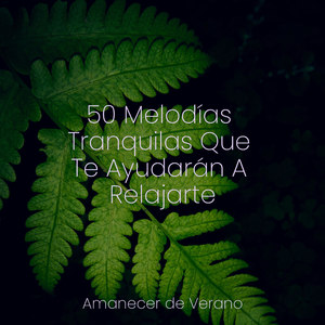 Melodías Ahogadas Descienden Profundamente