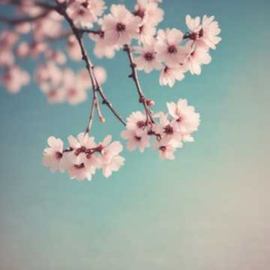 Ima mo Ano Hi no Mama