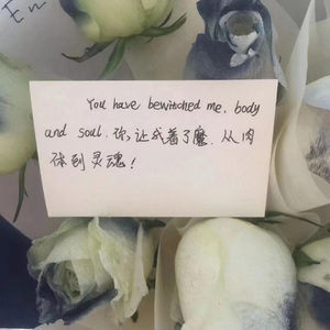 困在机场的莉莉丝/Runaway