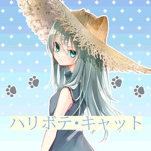 ハリボテ・キャット