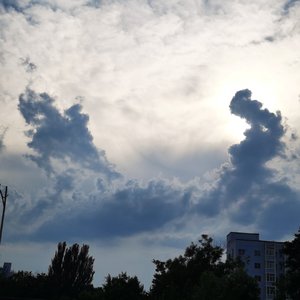 遥望星辰寄相思