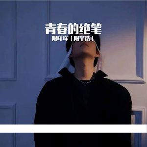 你是我青春的绝笔