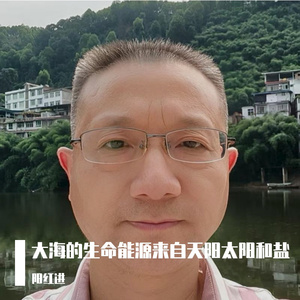 大海的生命能源来自天阳太阳和盐