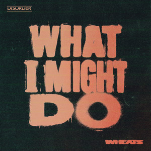 What I Might Do