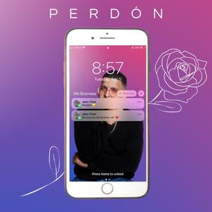 Perdon