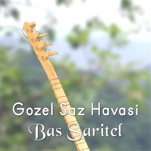 Bas Saritel