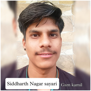 Siddharth Nagar Sayari