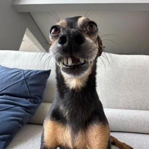 COOPER (feat. Kurssee)