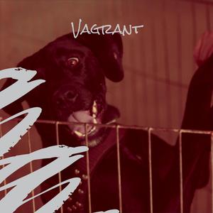 Vagrant