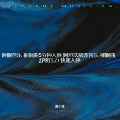 睡眠音乐 安静催眠雨声