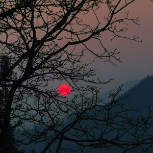 《写给奶奶的散文诗》